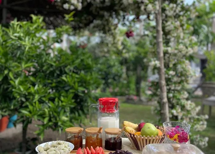 Guest House Miracle Garden