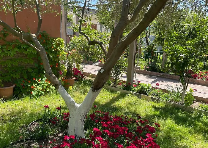Guest House Miracle Garden