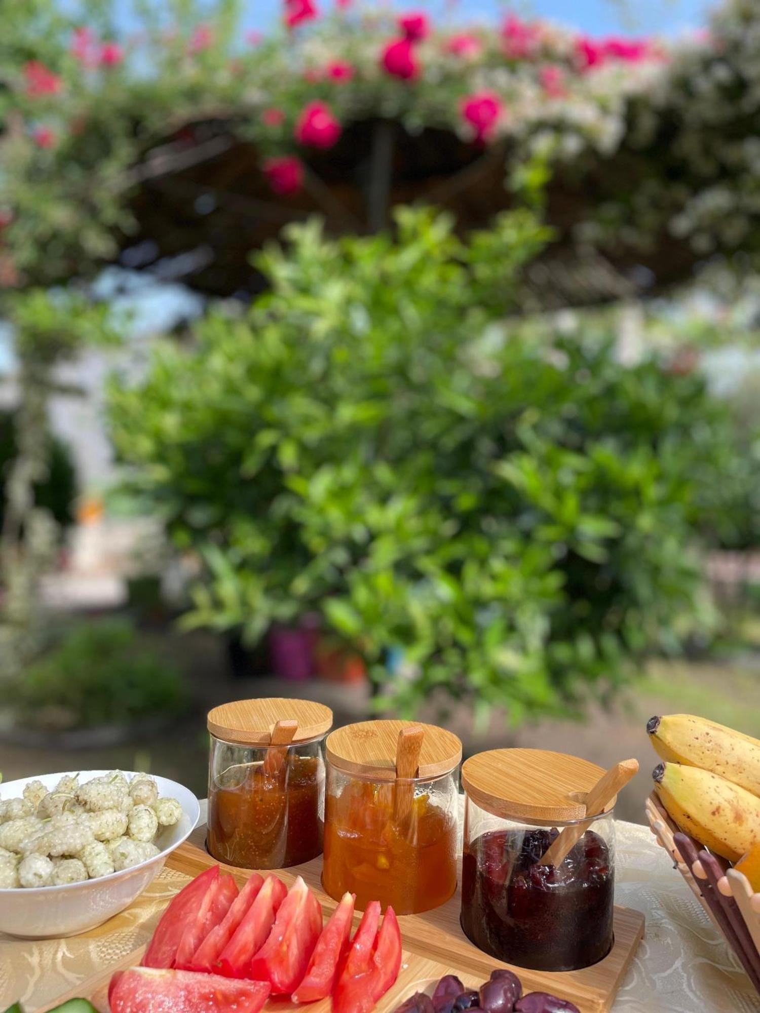Miracle Garden * Vlorë