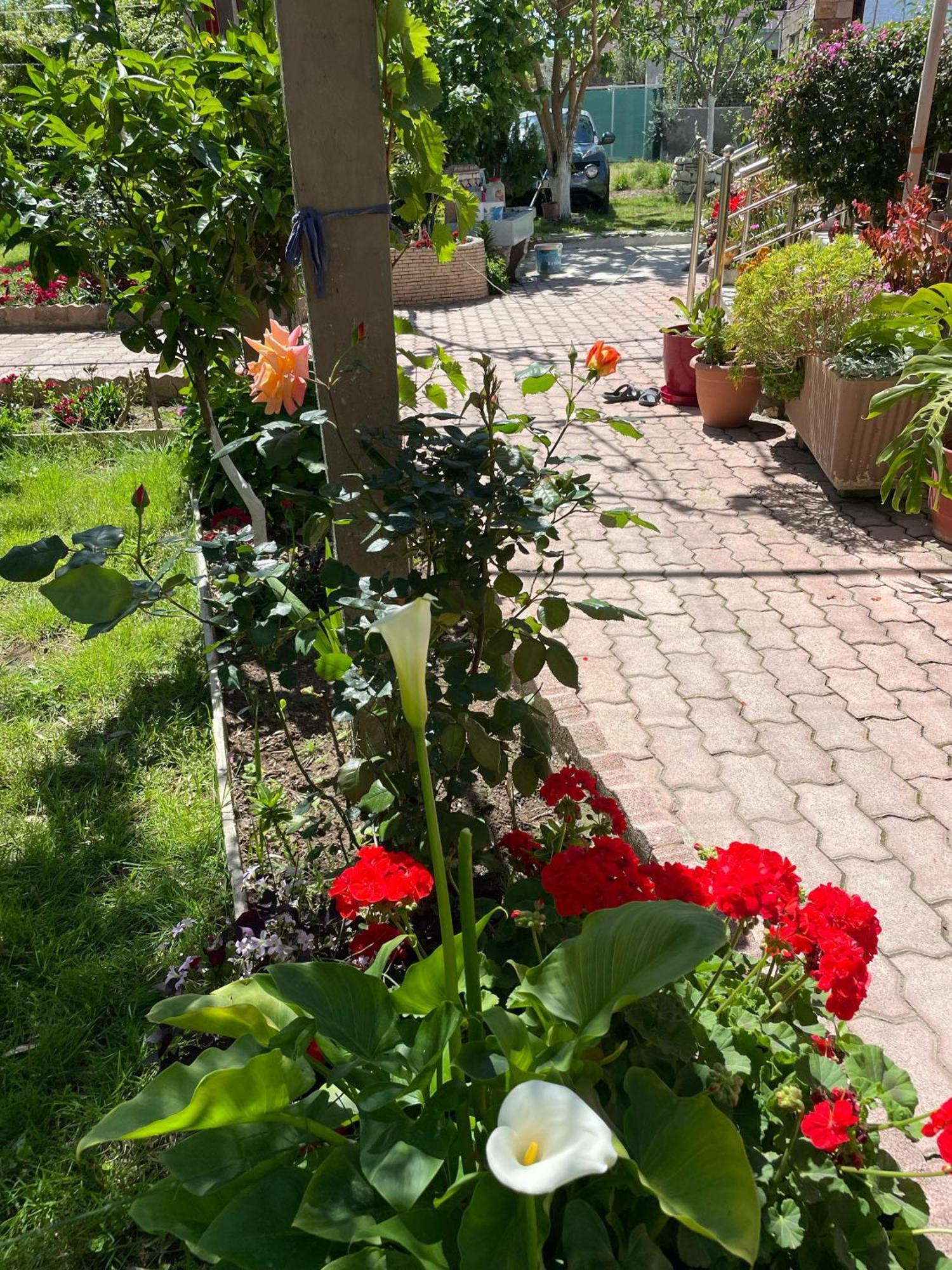 Miracle Garden * Vlorë
