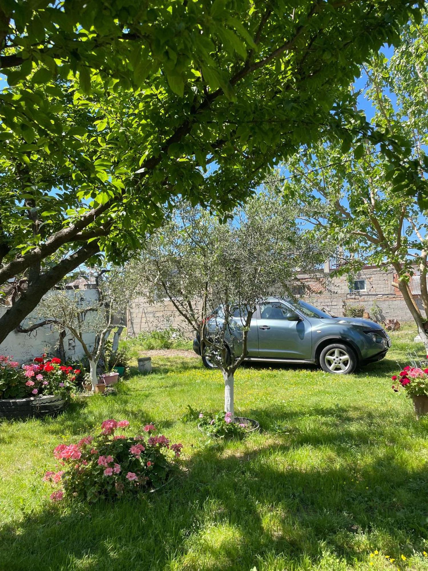 Miracle Garden Villa