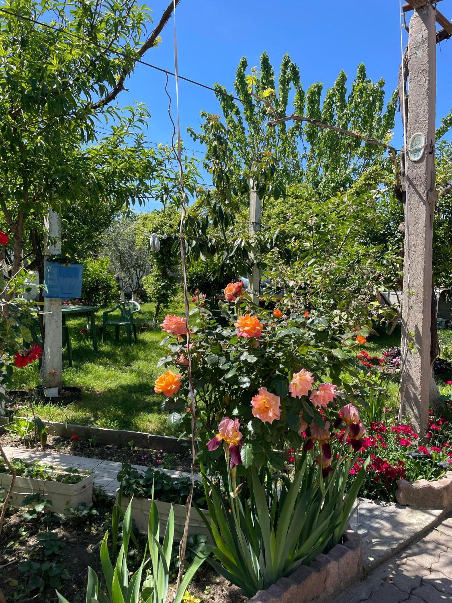 Miracle Garden Villa Vlorë