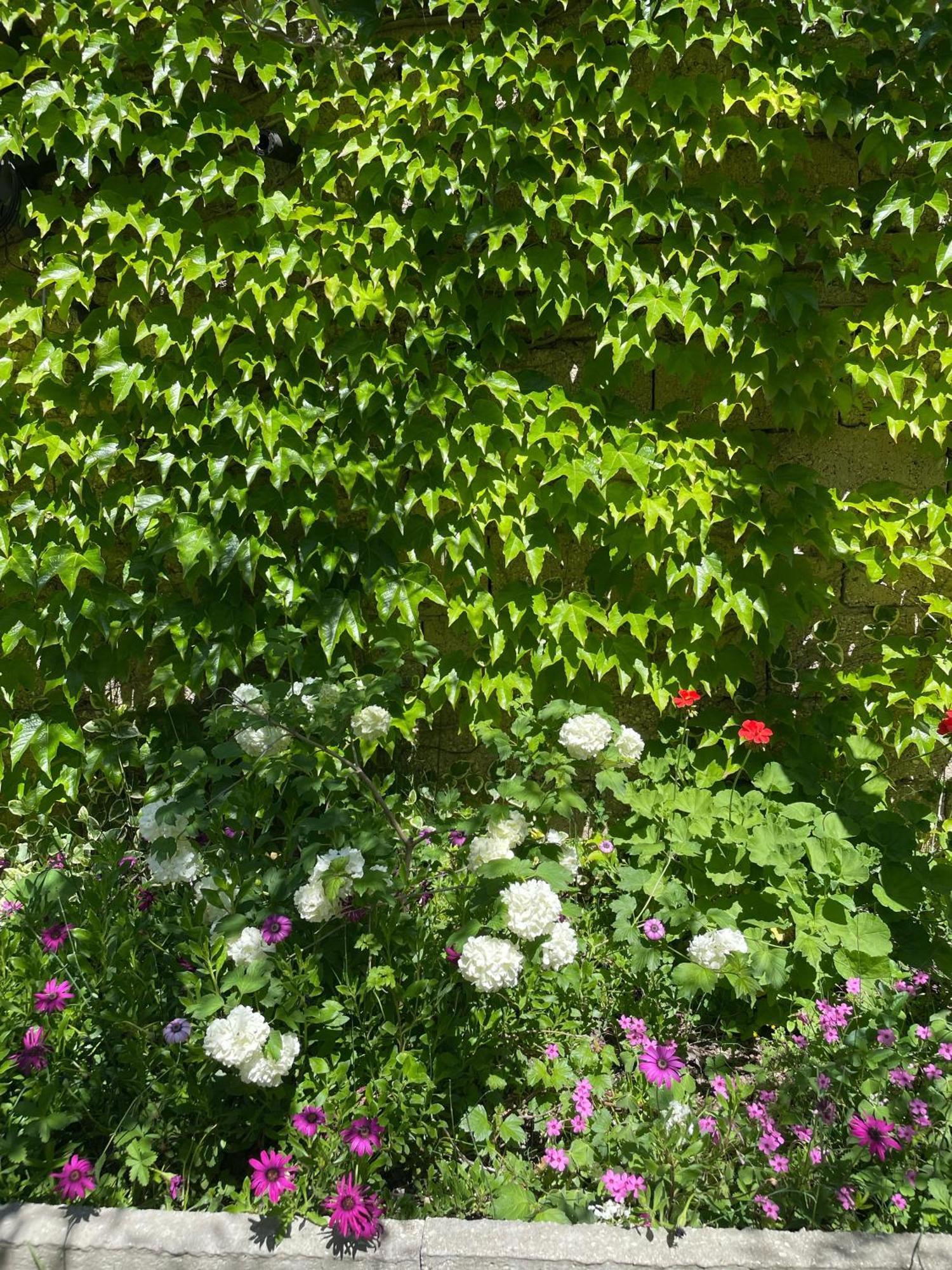 Miracle Garden * Vlorë