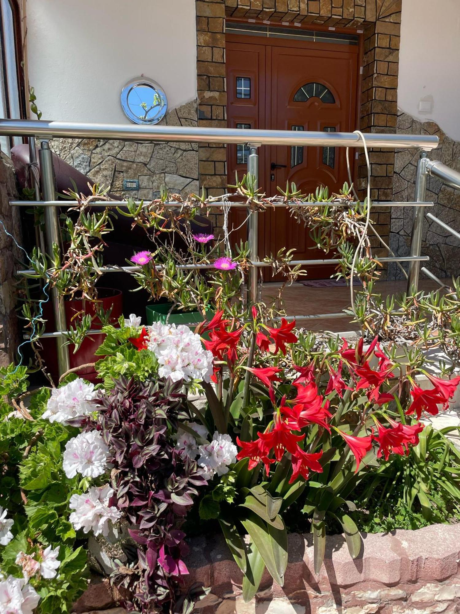 Miracle Garden
