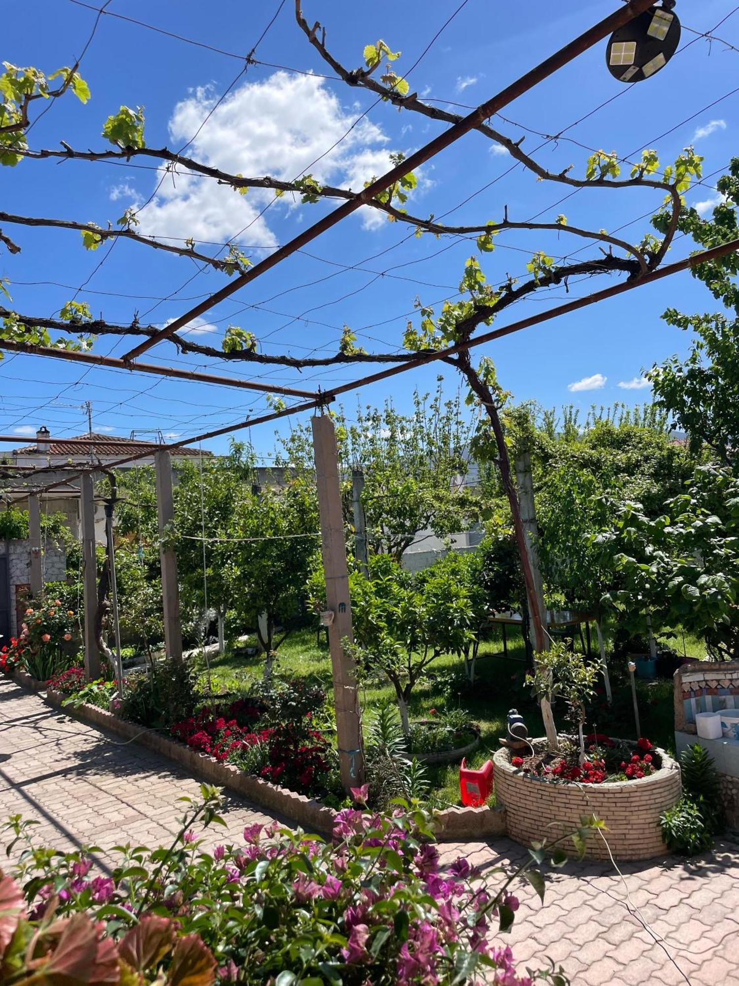 Miracle Garden Vlorë