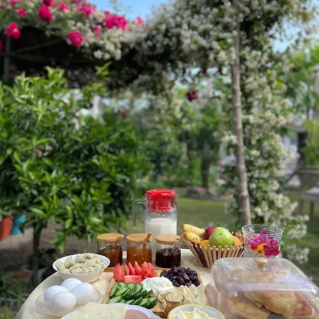 Guest House Miracle Garden Vlore Exterior photo