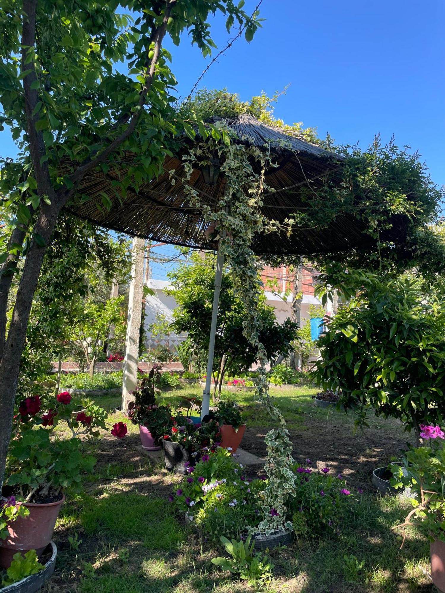 Miracle Garden *