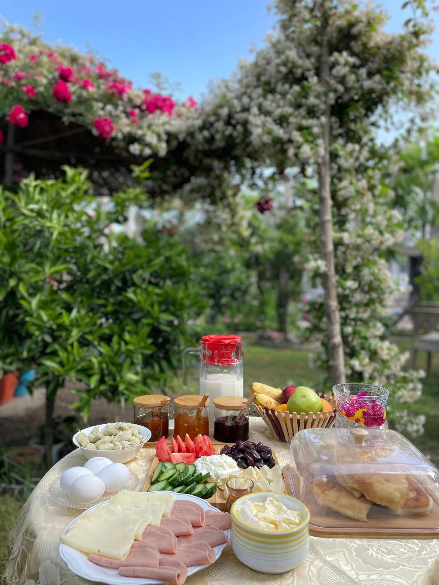 Villa Miracle Garden Vlorë